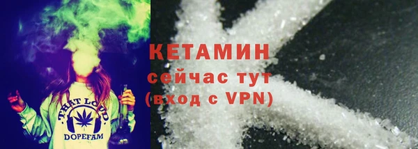 индика Белокуриха