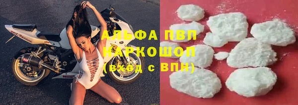 индика Белокуриха