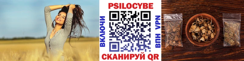 закладки  Хотьково  Галлюциногенные грибы Psilocybine cubensis 
